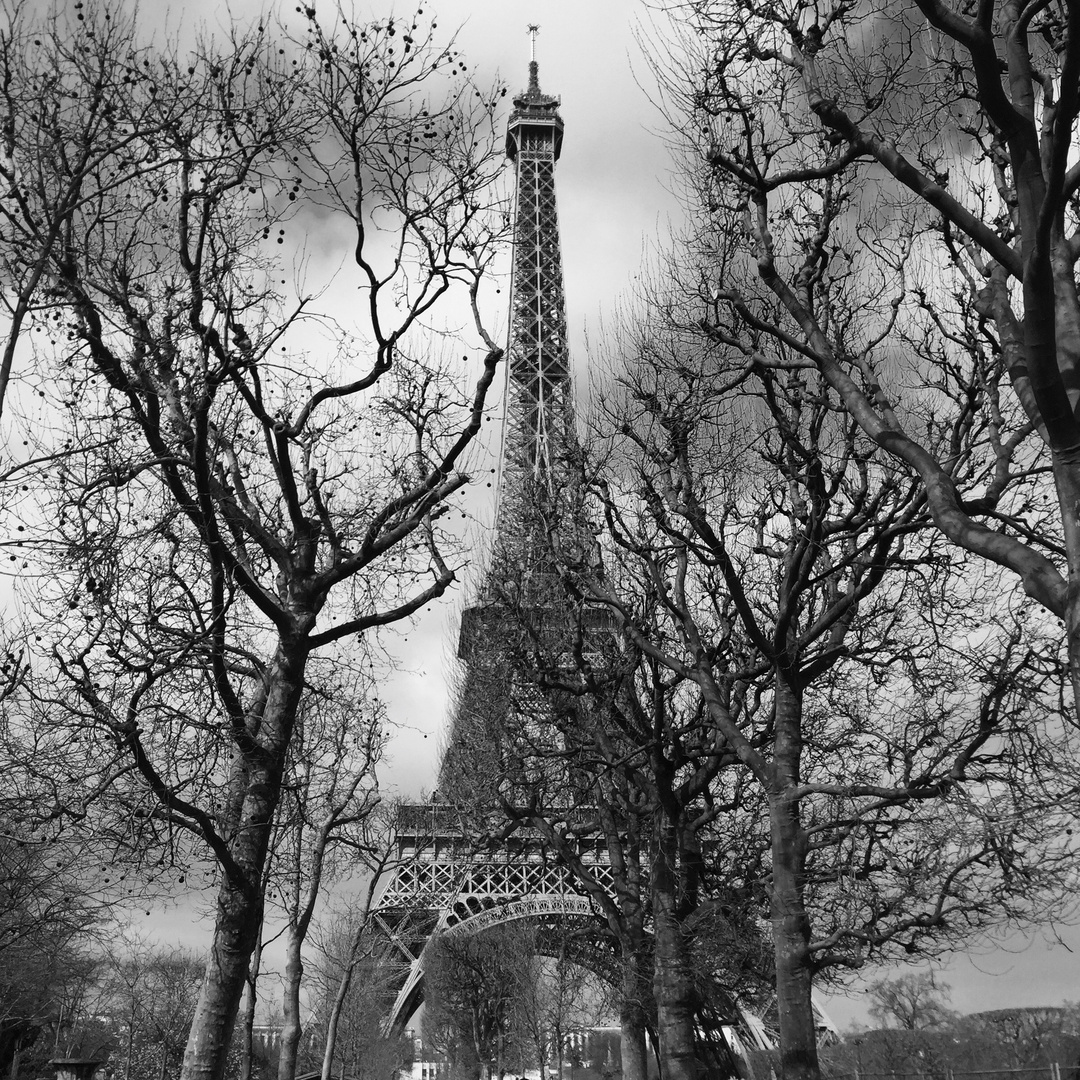 La Tour Eiffel