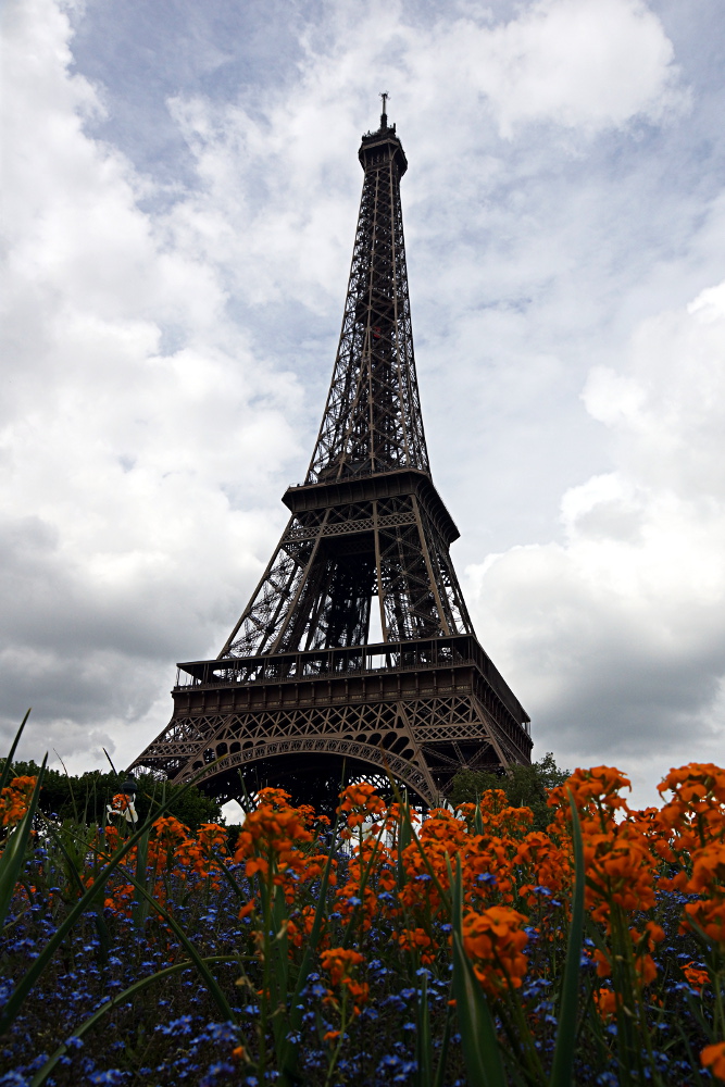 la Tour Eiffel