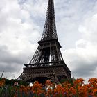 la Tour Eiffel