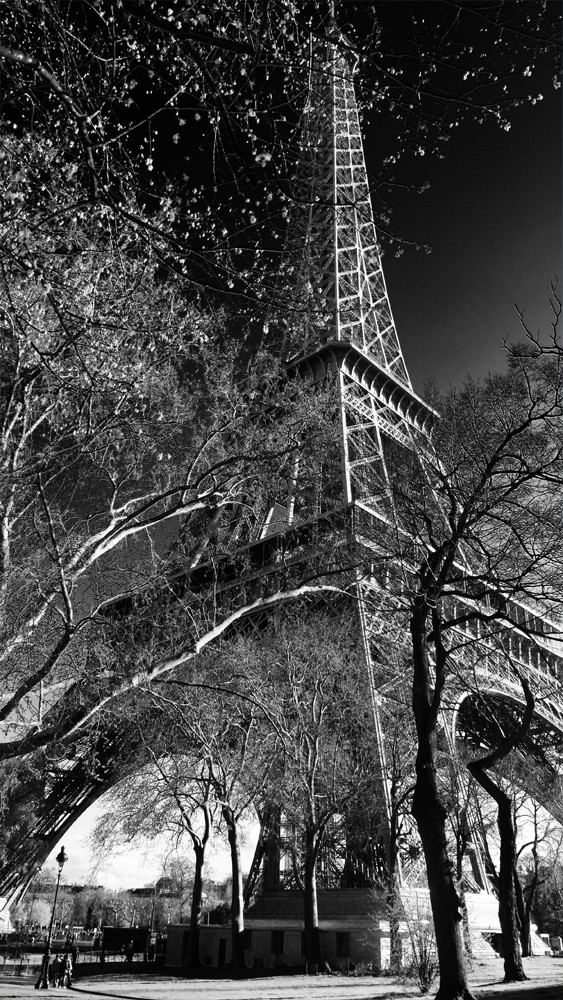 La Tour Eiffel