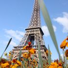 La Tour Eiffel II