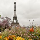 la tour eiffel in fiore