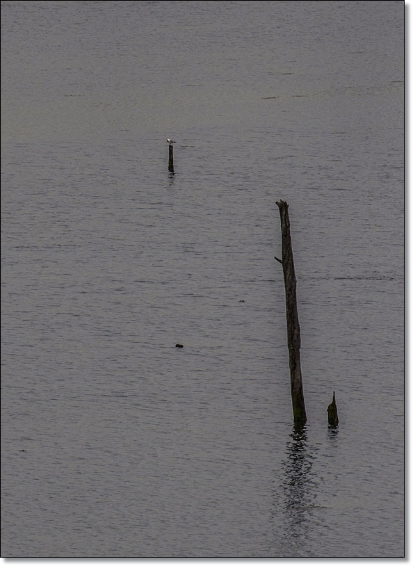 la tranquilidad de la laguna