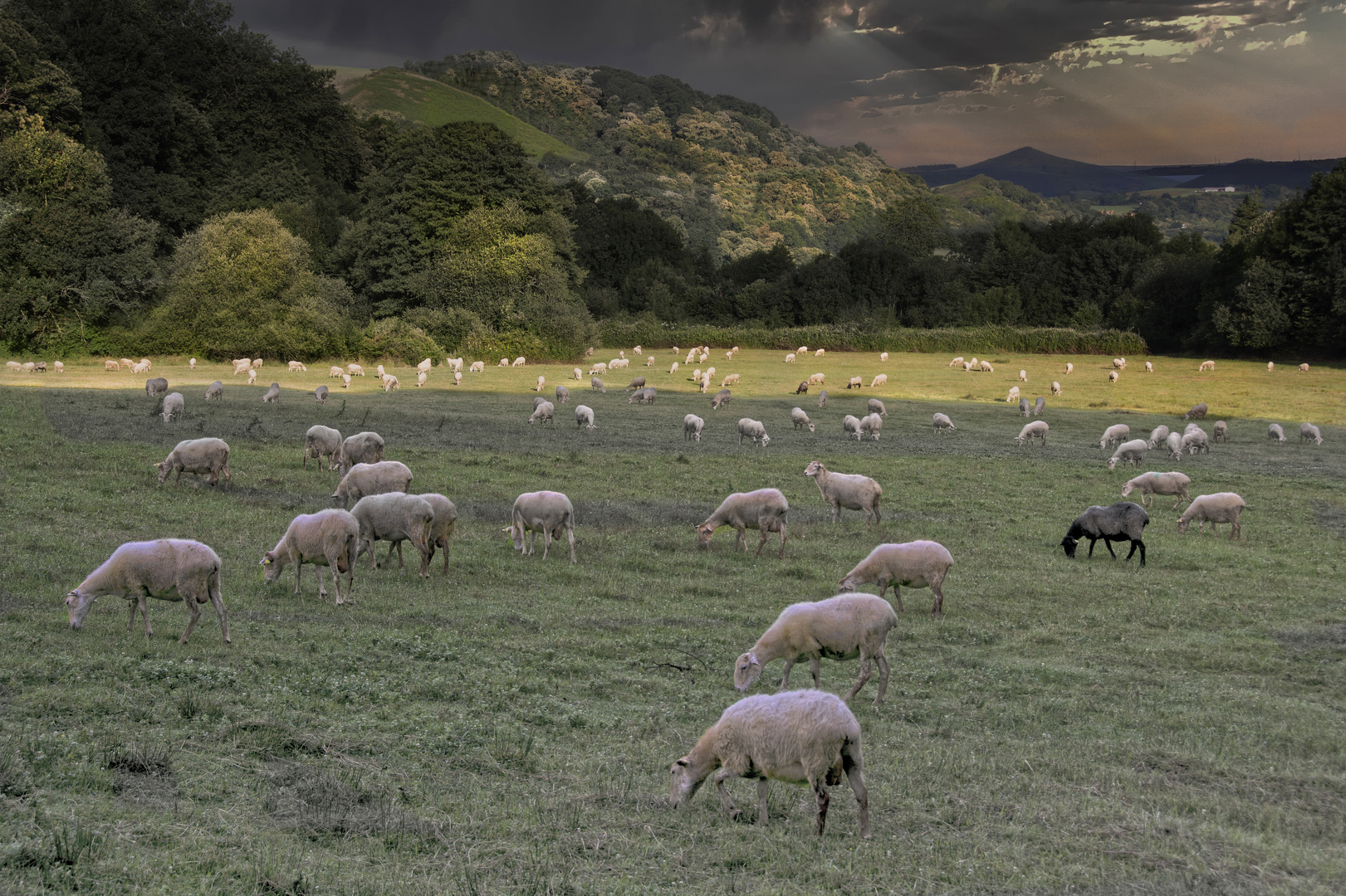 La tranquilité basque