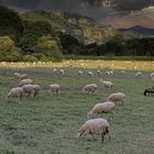 La tranquilité basque