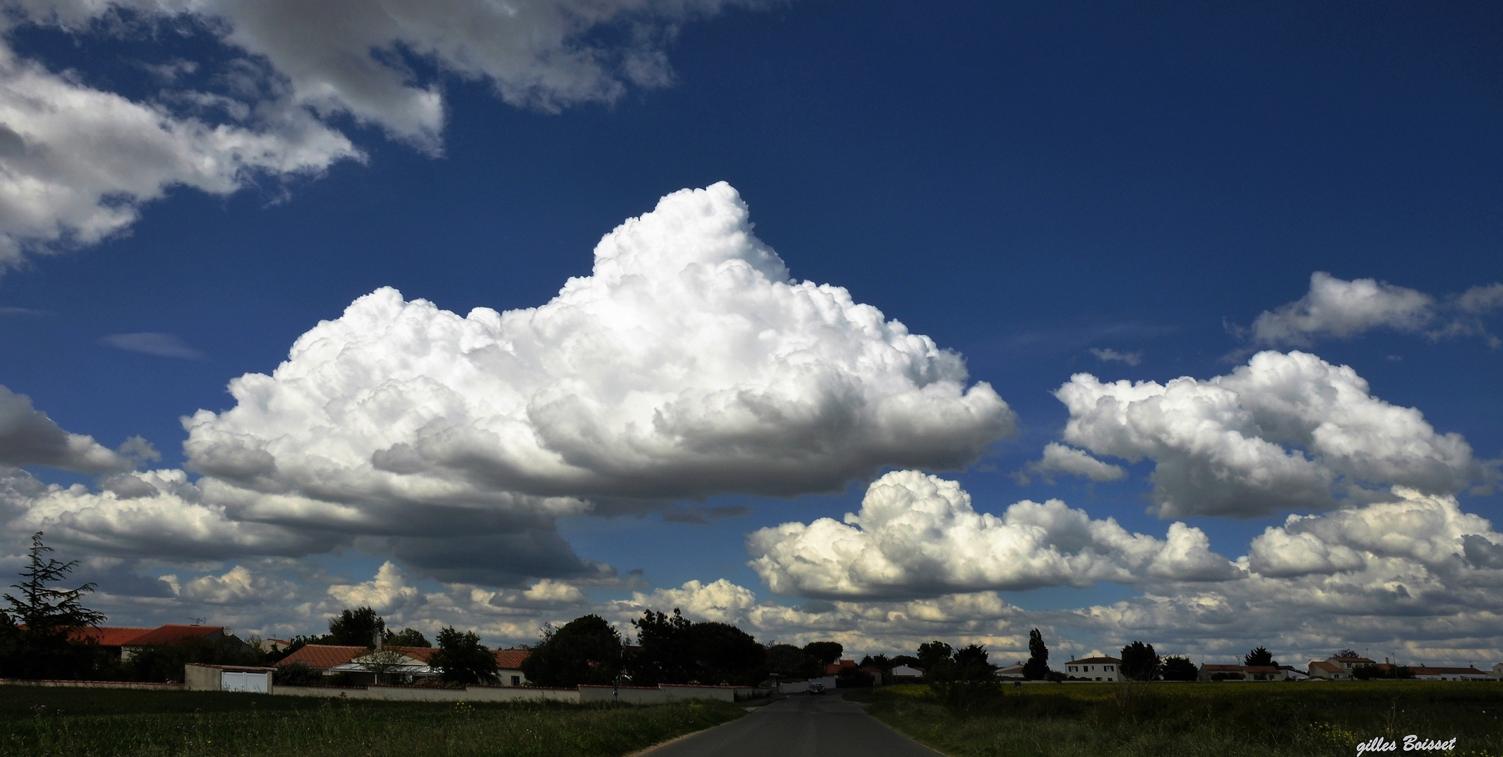 la transhumance