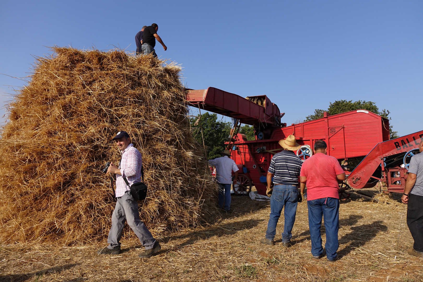 LA TREBBIATURA  DEL GRANO