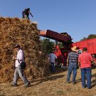 LA TREBBIATURA  DEL GRANO