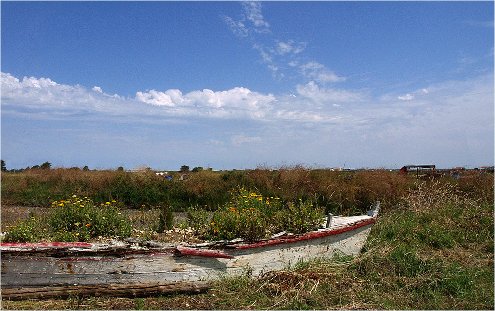 La Tremblade – Près du port - In der Nähe des Hafens