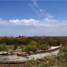 La Tremblade – Près du port - In der Nähe des Hafens