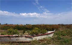 La Tremblade – Près du port - In der Nähe des Hafens