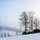 la tristesse du jour 