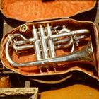 la trompette ( Paris, Porte de Clignancourt 1979 )
