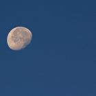 la tête dans la lune !!