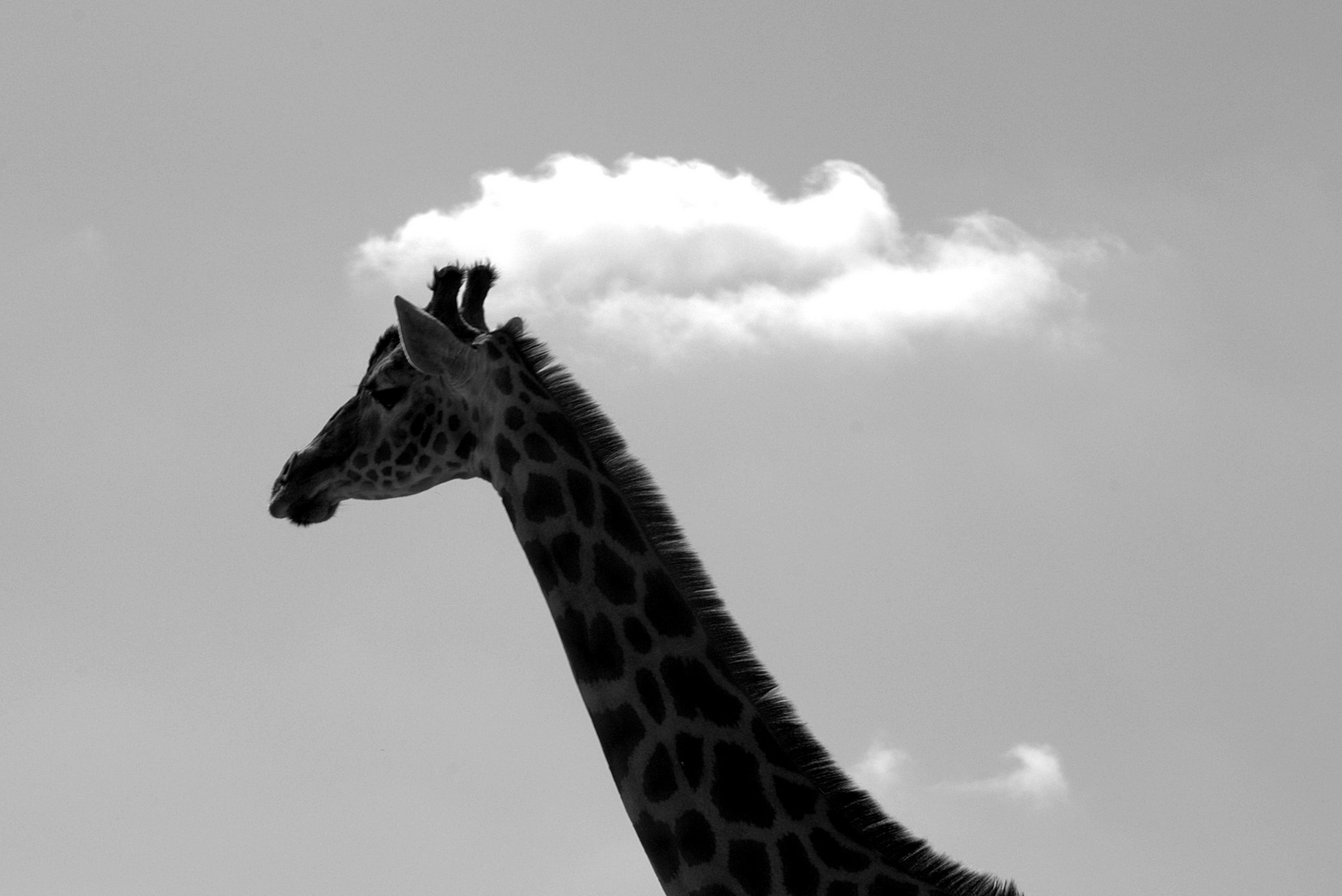 La tête dans les nuages