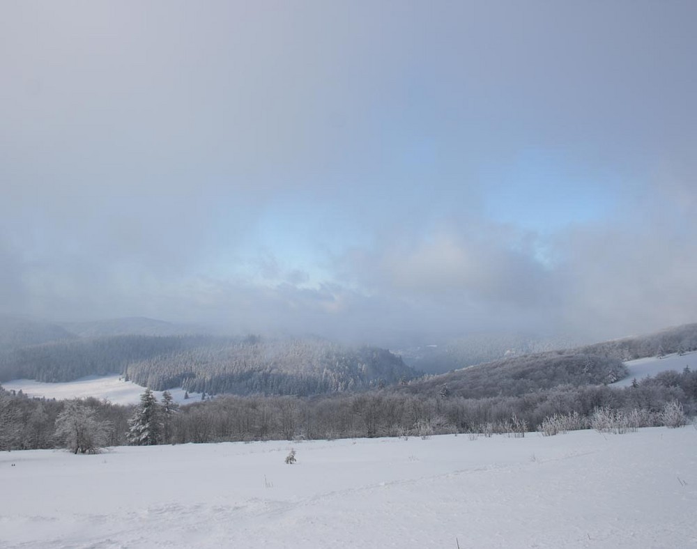 la tête dans les nuages