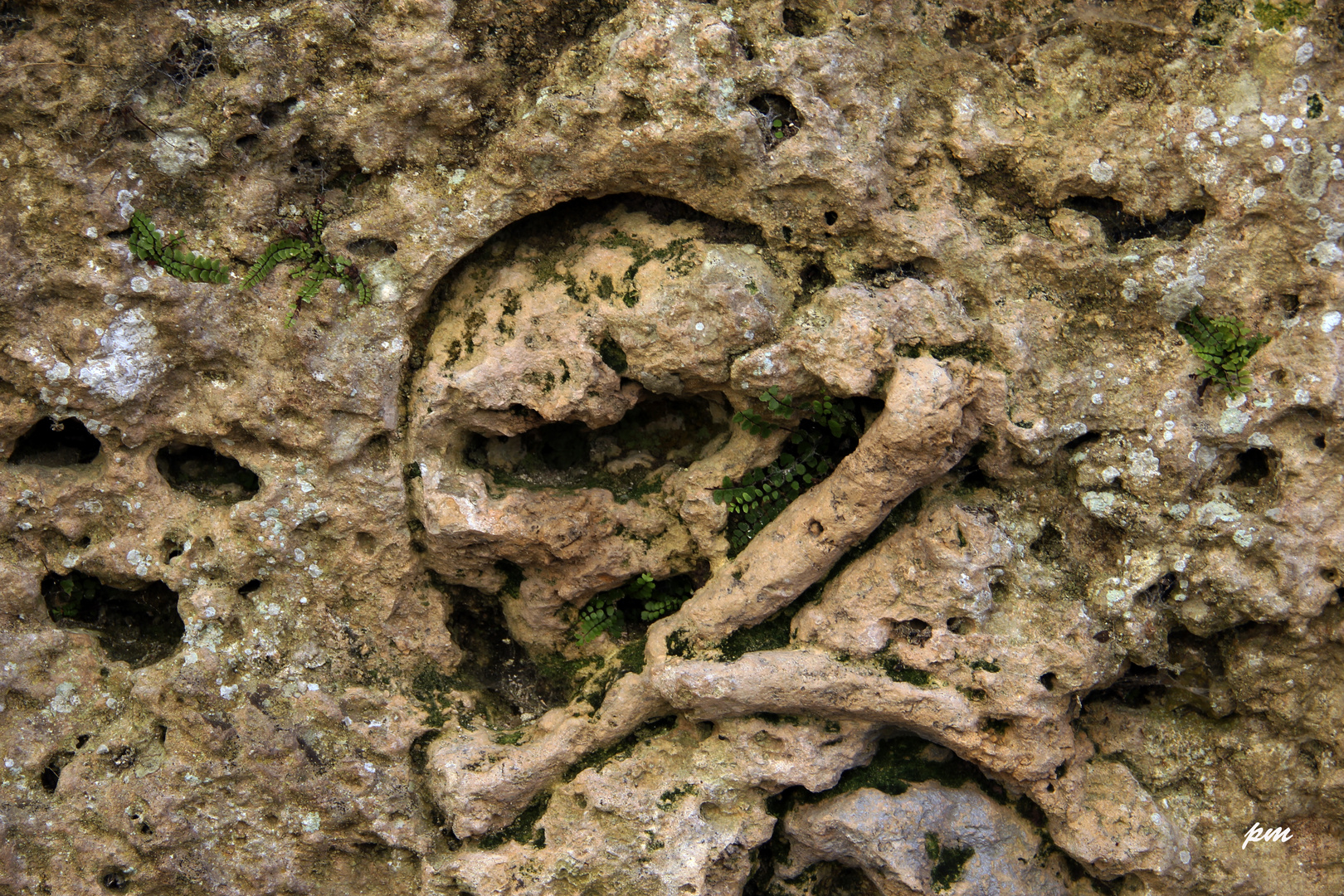 La tête de mort dans une falaise