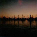 La Turballe (der Fischerhafen)