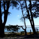 La Turballe - Promenade après la visite de La Baule . 