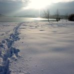 La ultima gran Nevada.