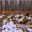 la última nieve en el bosque (der letzte Schnee im Wald)