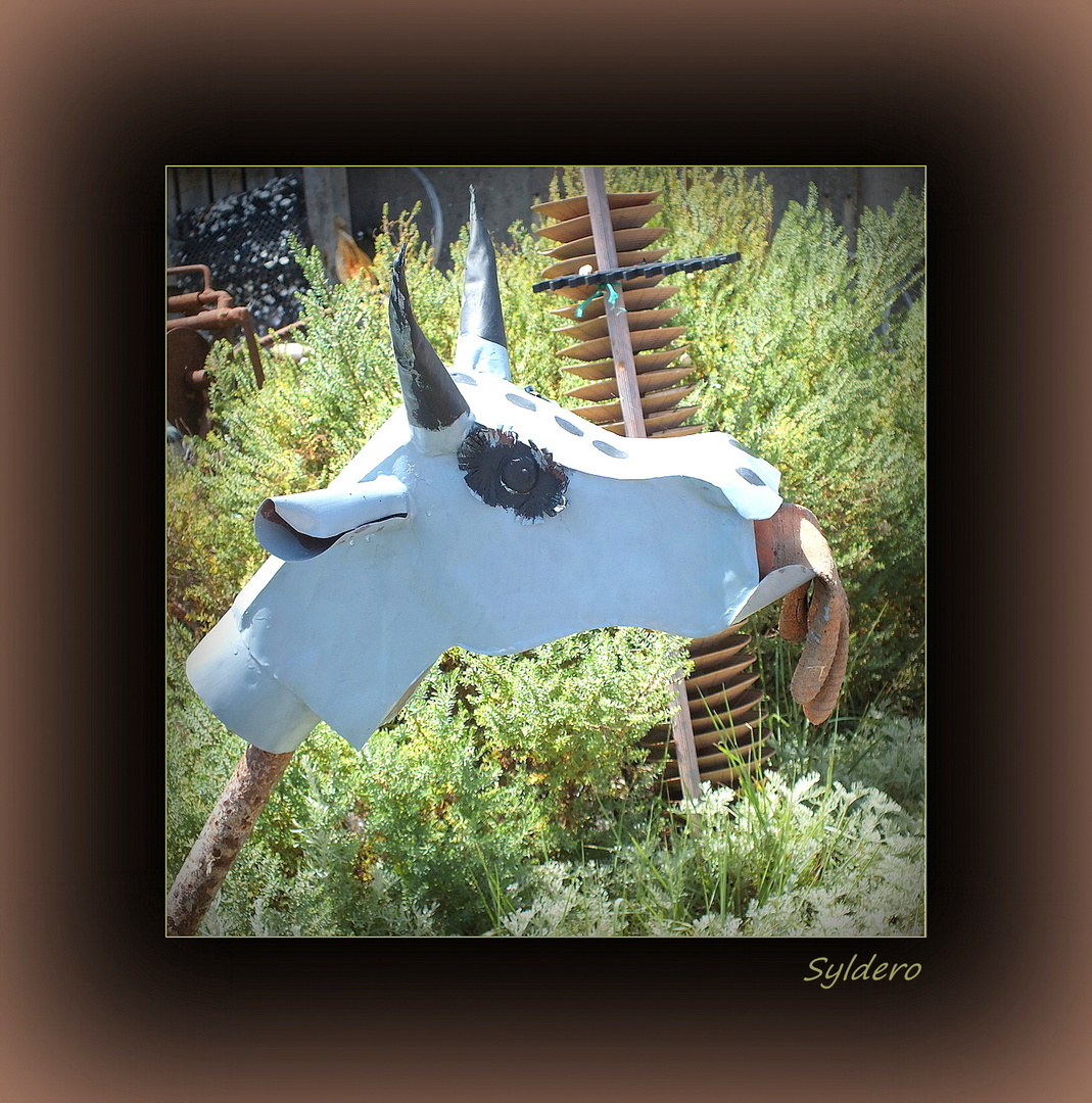 La vache du pré voisin