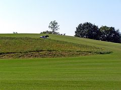 La vache qui rit