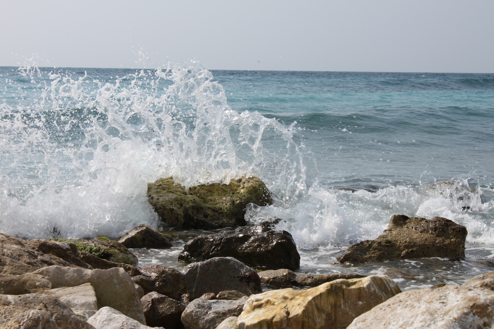 la vague en suspension