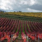 La Val di Chiana-Toscana