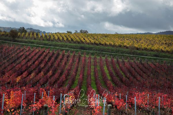 La Val di Chiana-Toscana