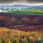 La Val di Chiana-Toscana