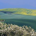 La val d'Orcia