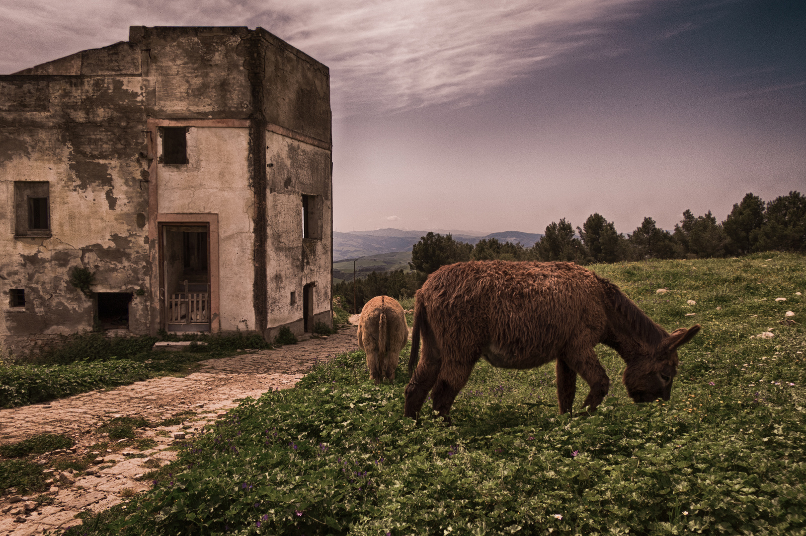 la valle degli asini