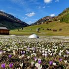 La valle dei fiori Austria-Tirolo