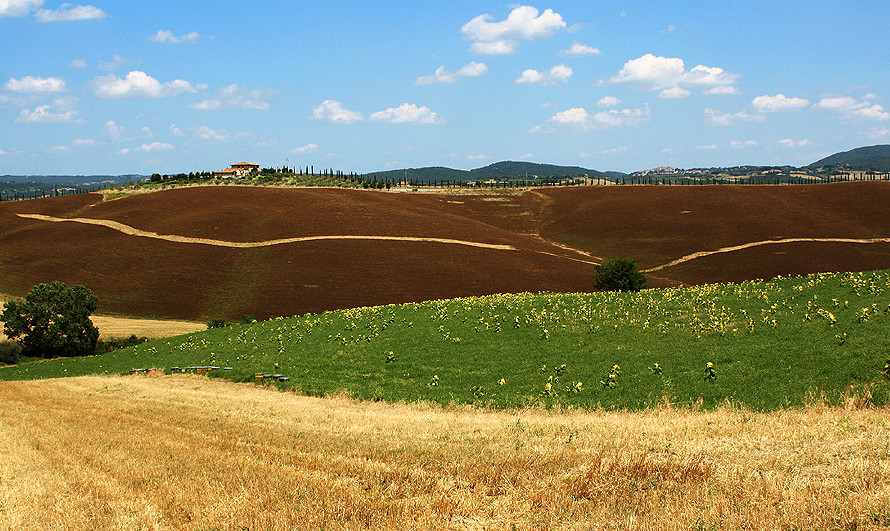 la valle delle api