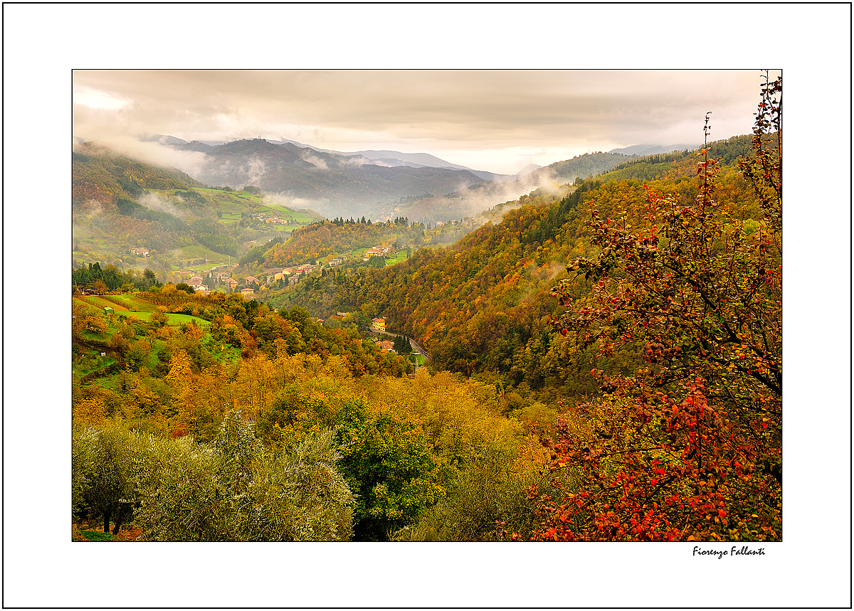 ...LA VALLE DELL'INFANZIA...