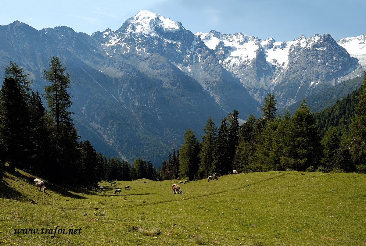 La Valle di Trafoi e l'Ortles