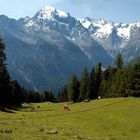 La Valle di Trafoi e l'Ortles