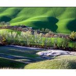 La valle si veste di primavera