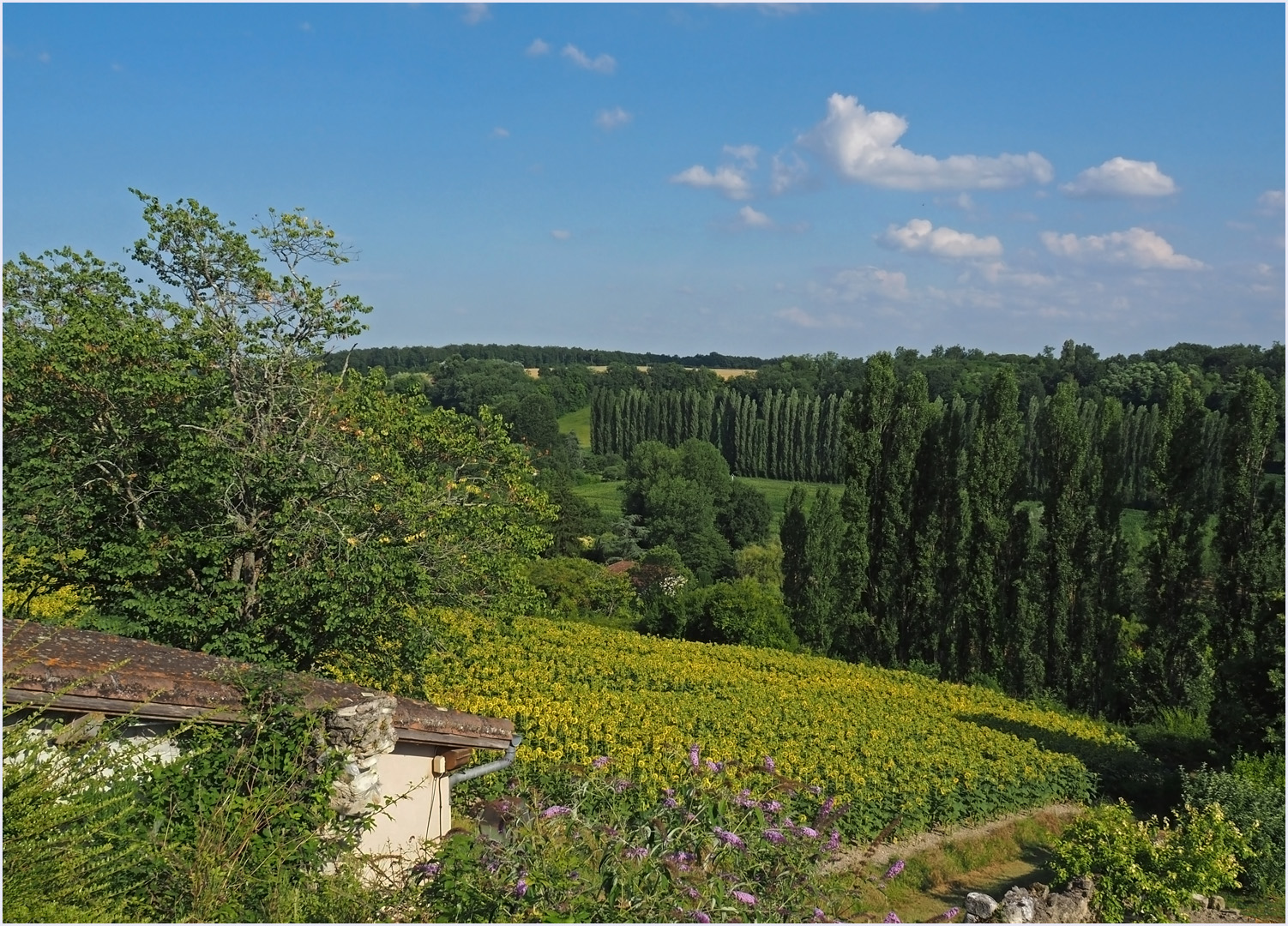 La vallée de la Gélise …