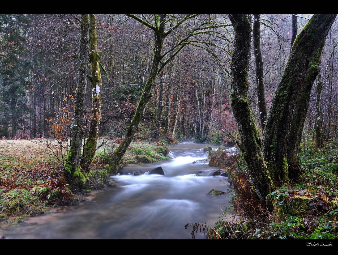 La vallée de la Zorn