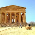 La Vallée des Temples, Agrigente, Sicile