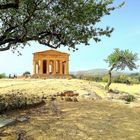 La Vallée des Temples, Agrigente, Sicile