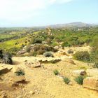 La Vallée des Temples, Agrigente, Sicile