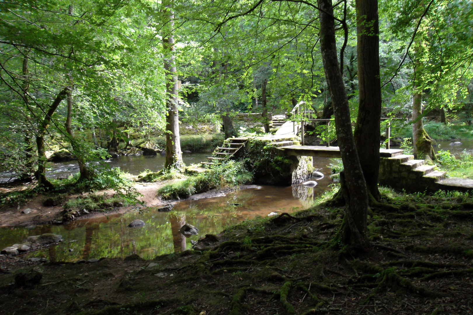 La vallée du Cousin (89)