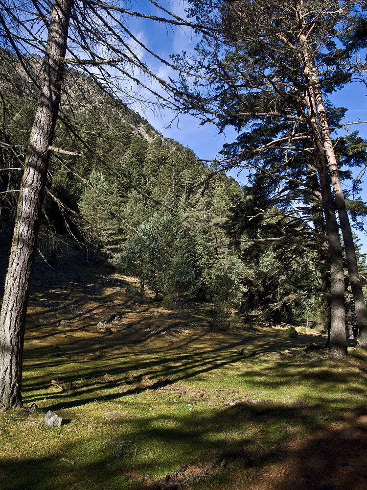 La Vallée du Rioumajou -- 12/2015 Hautes-Pyrénées -- Das Rioumajou-Tal