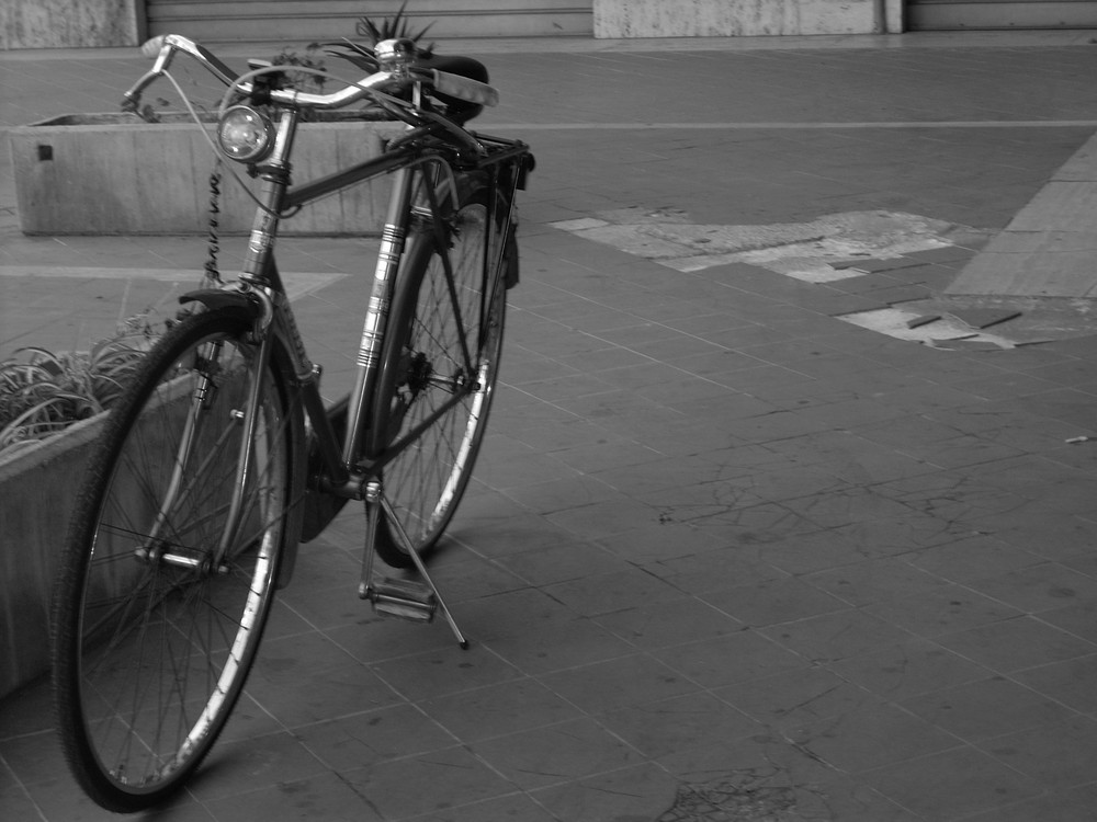 La vecchia bicicletta di papà!