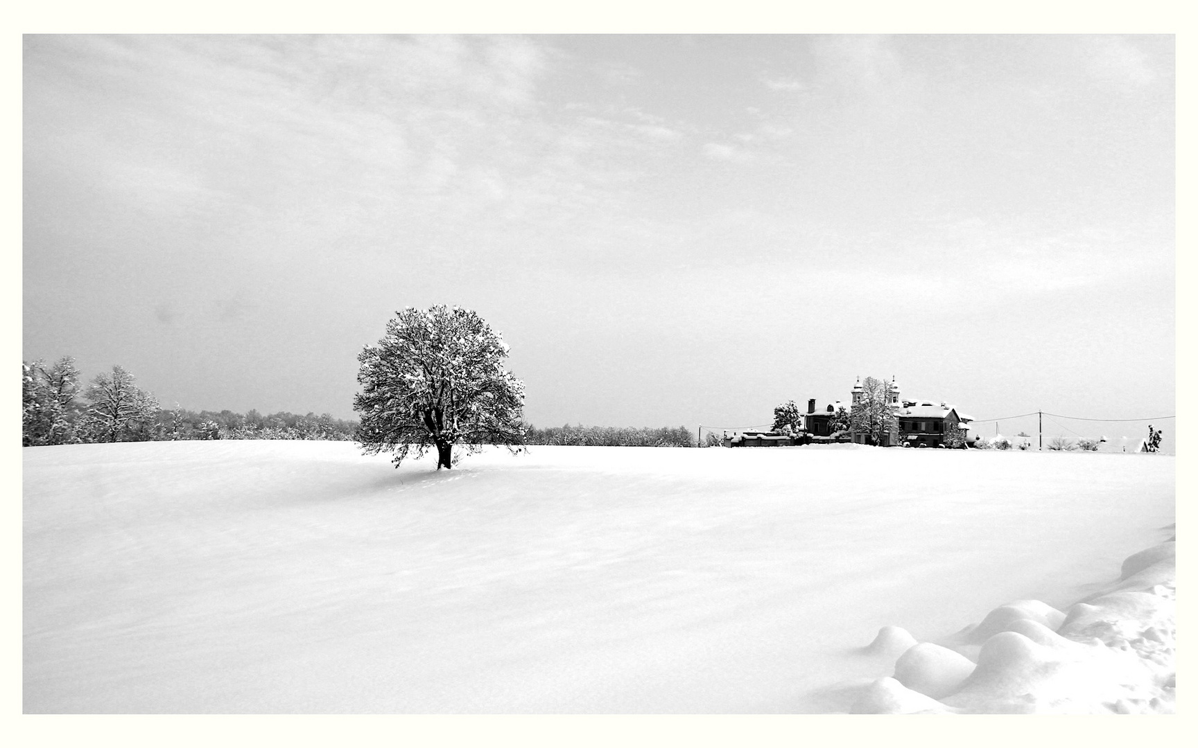 La vecchia quercia e il santuario