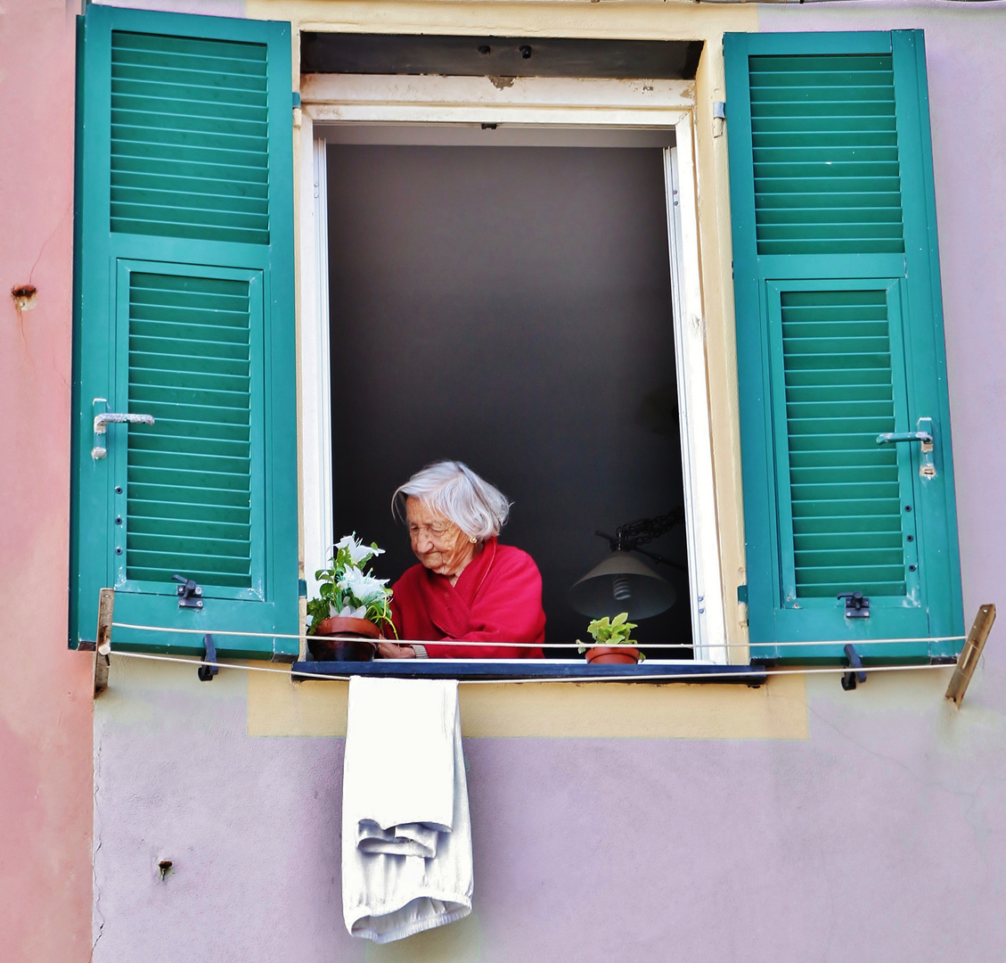 La vecchina alla finestra