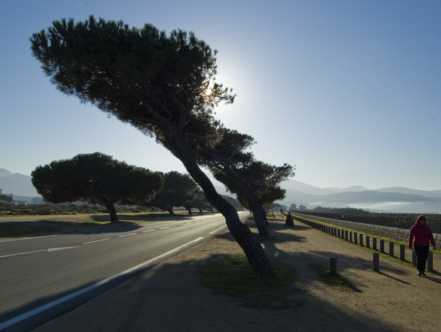 la velocità del vento